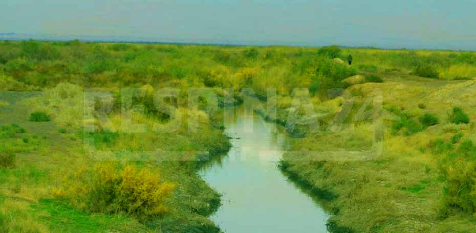 بلیط قطار گرگان ورامین - رسپینا 24